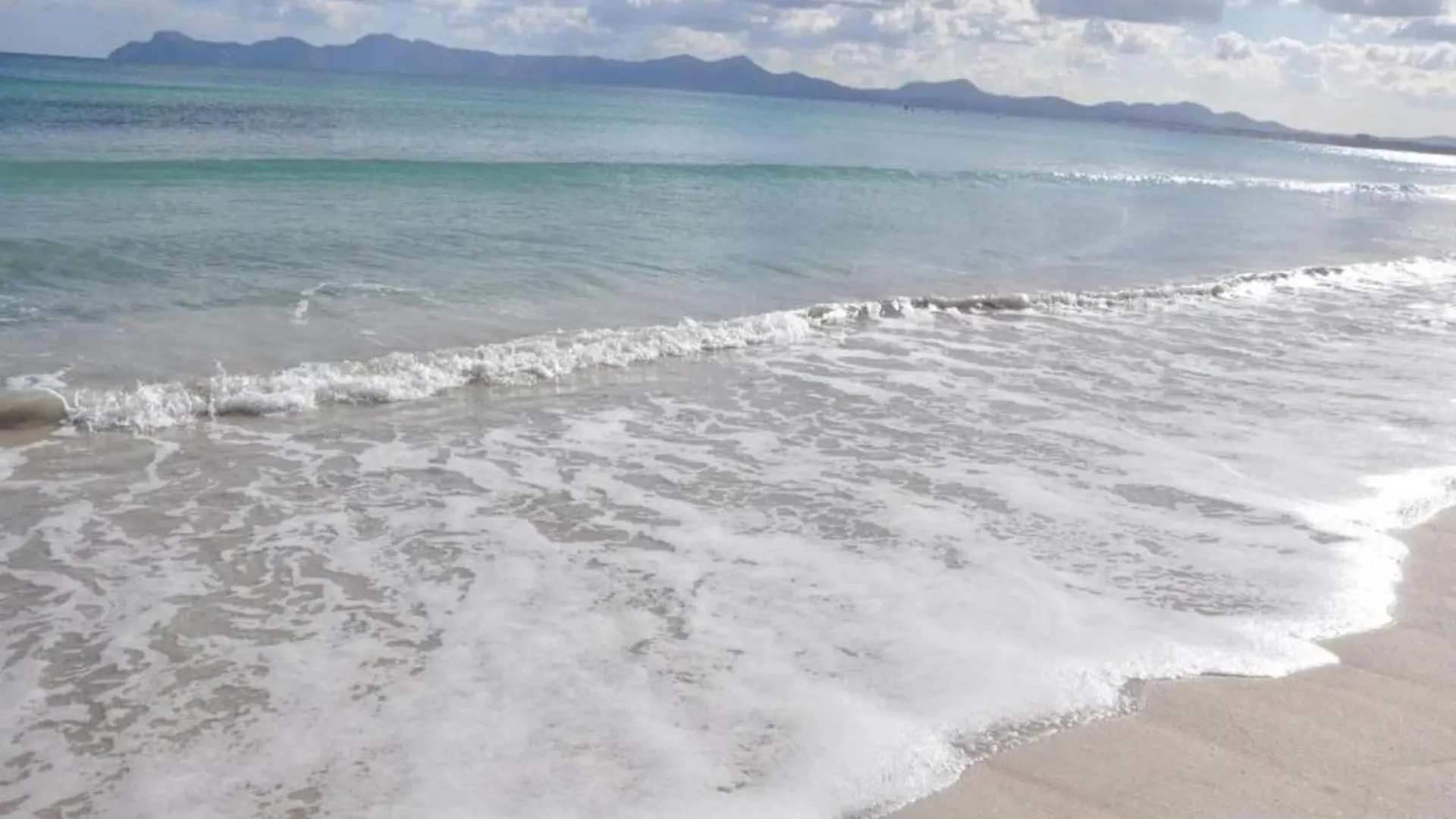 Apartment With Sea View From Terrace Alcudia   Alcudia (Mallorca)