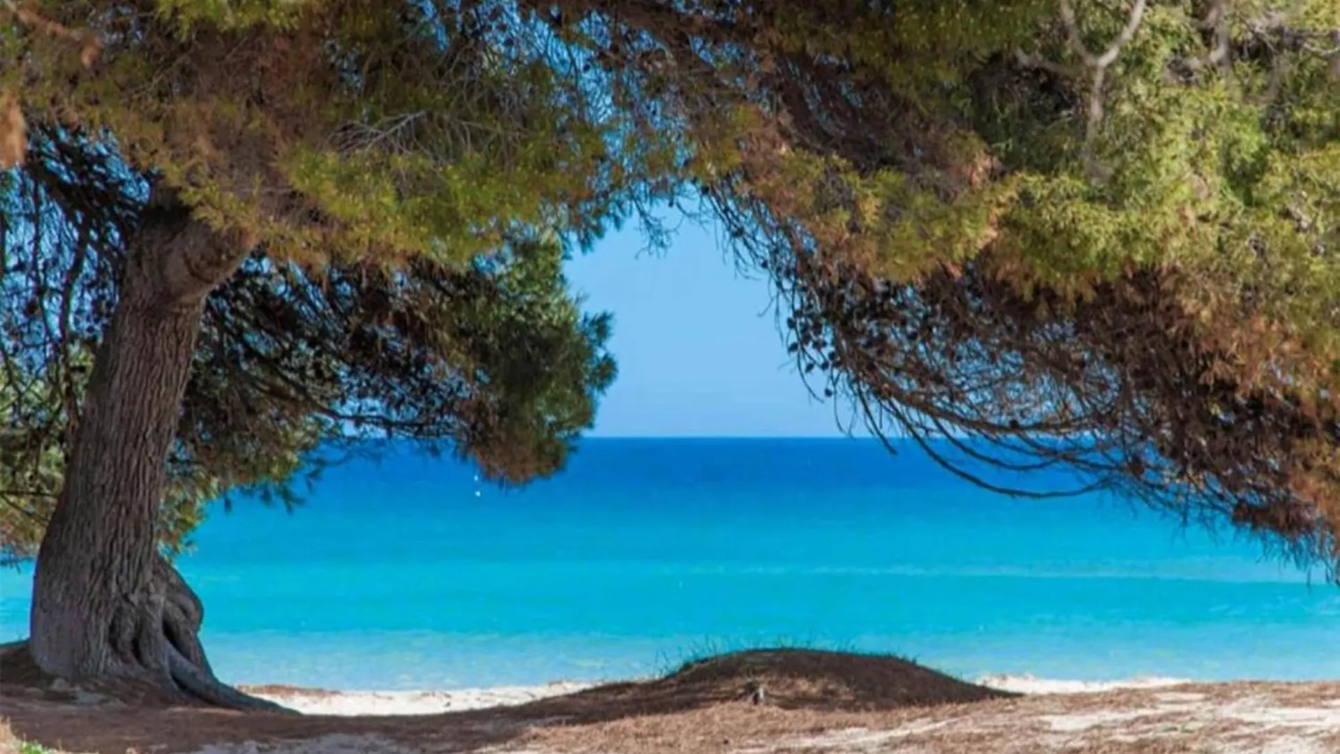 Apartment With Sea View From Terrace Alcudia
